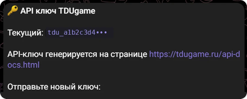 Ввод API-ключа TDUgame